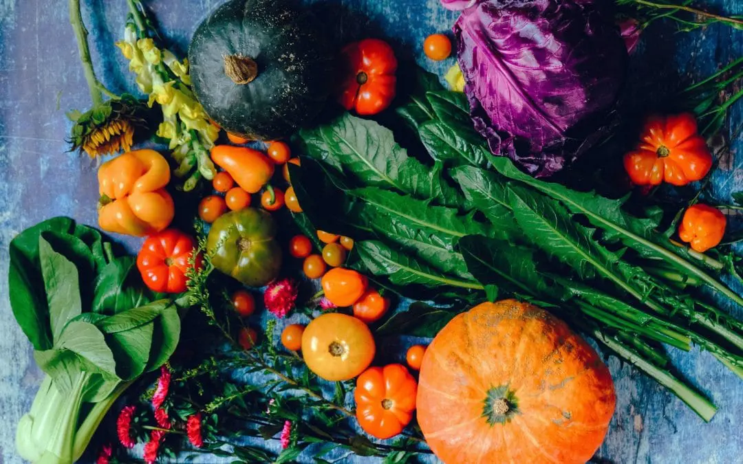 Fall Is Great for Planting — Here’s Why!