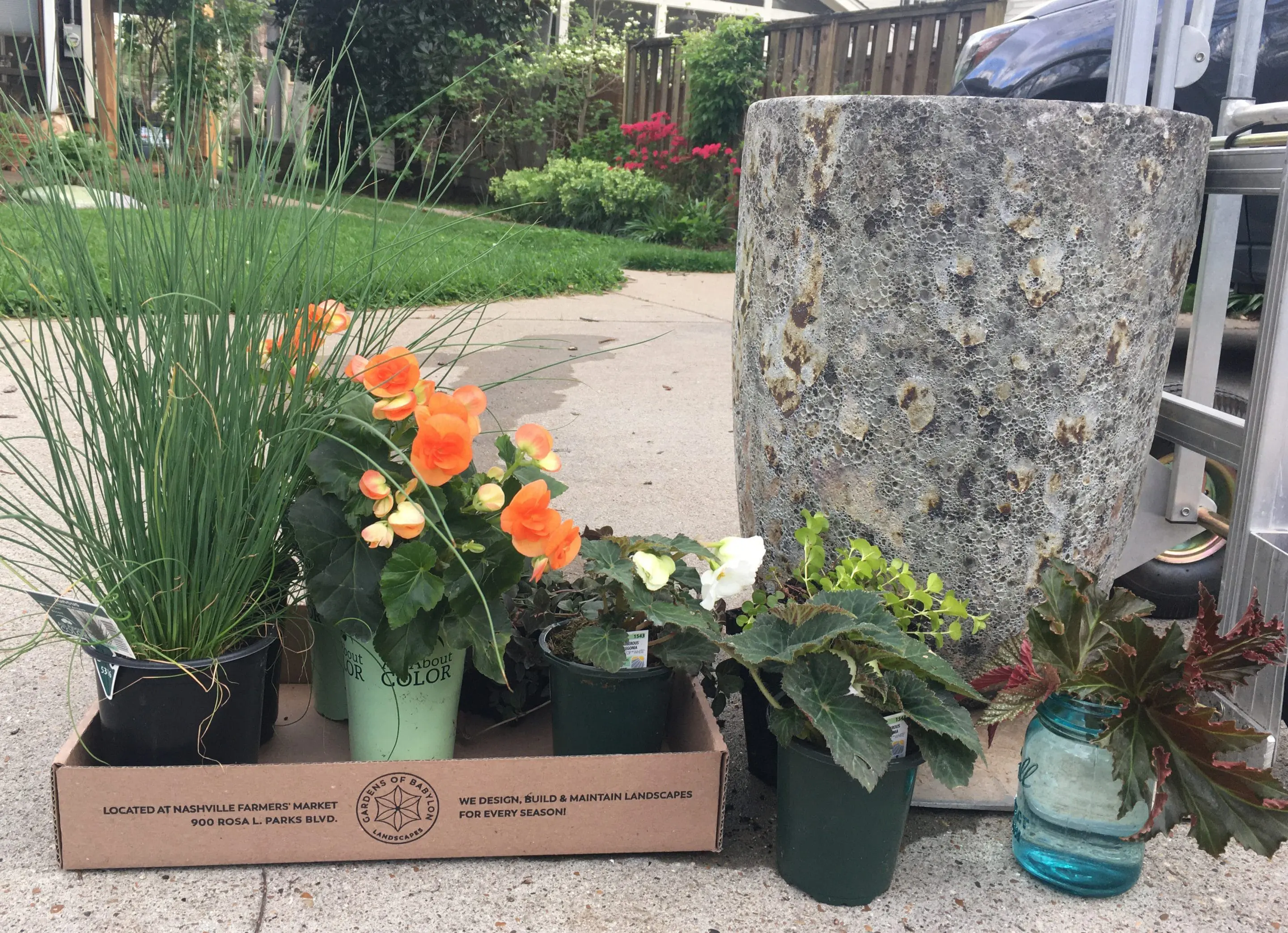 1 Planter and plants 1 Planter and plants