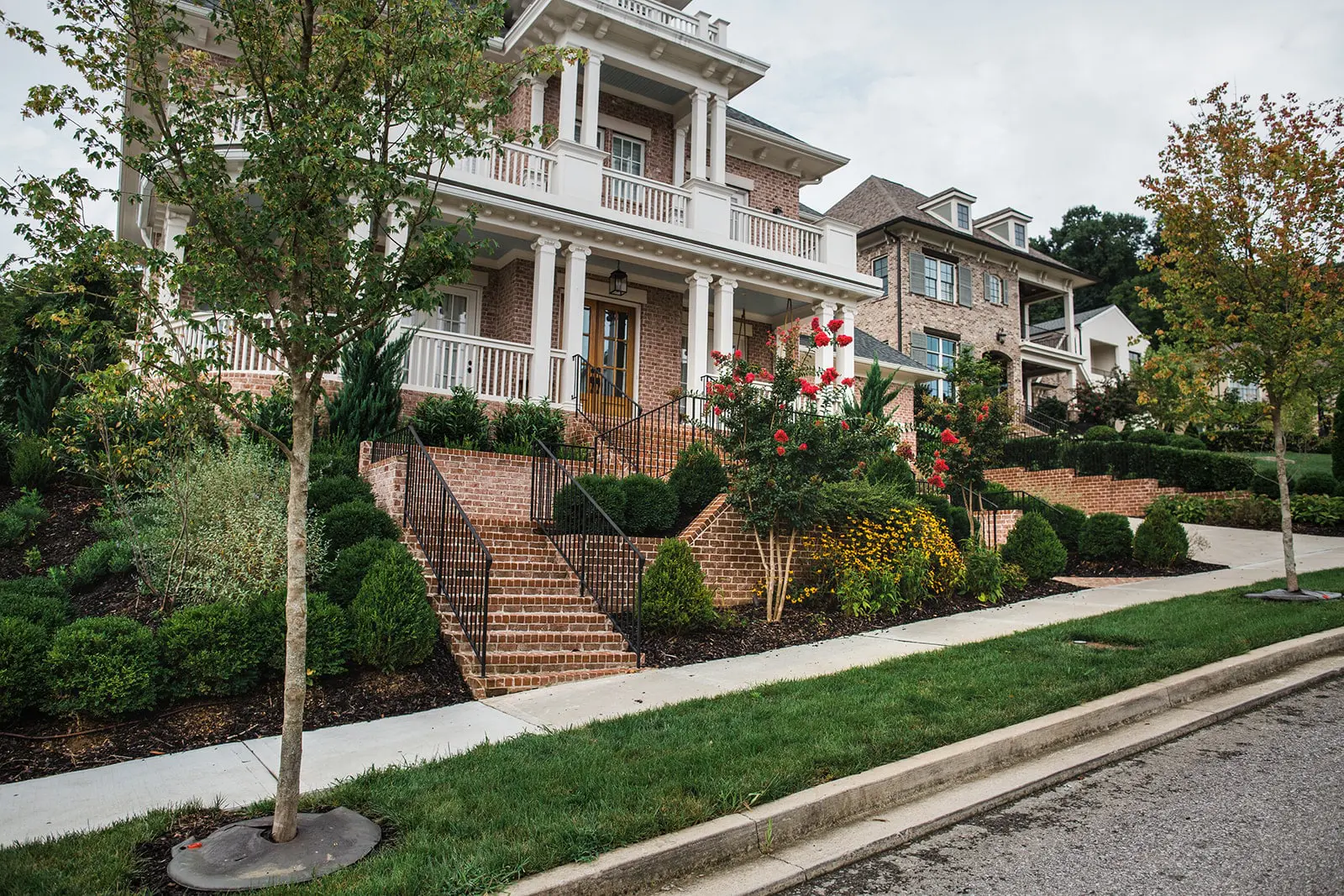 Fron yard landscaping