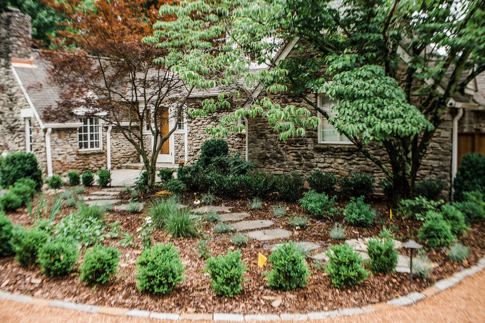 House with plants and trees