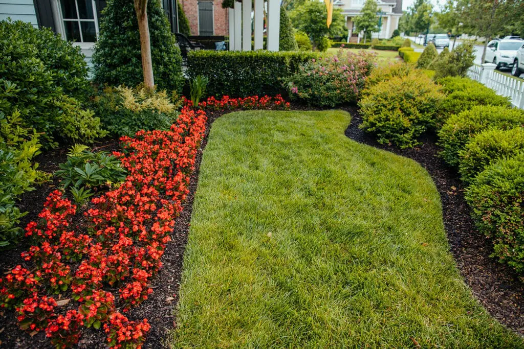 natural lawn and soil program