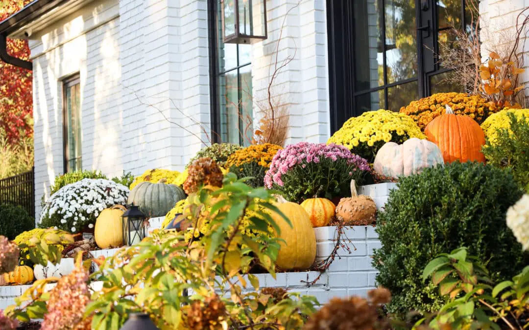 September Landscaping Tips