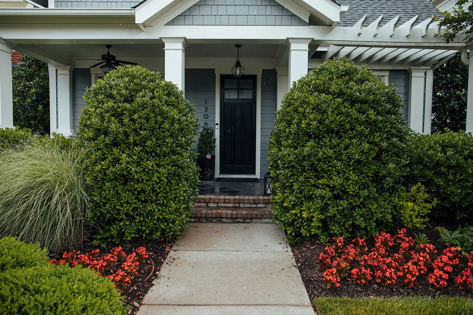 Plants in front of the house Plants in front of the house