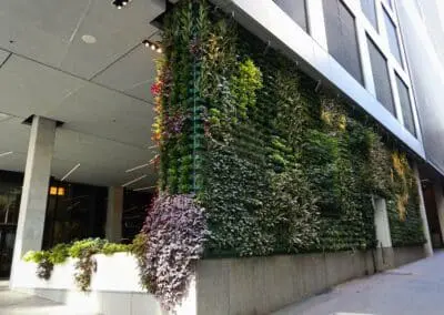 Hotel Commercial Landscaping