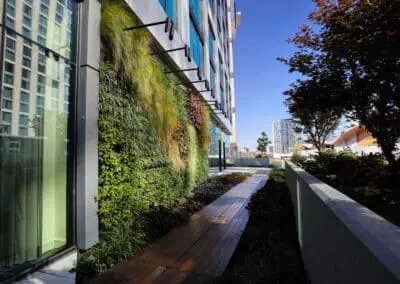 Hotel Commercial Landscaping