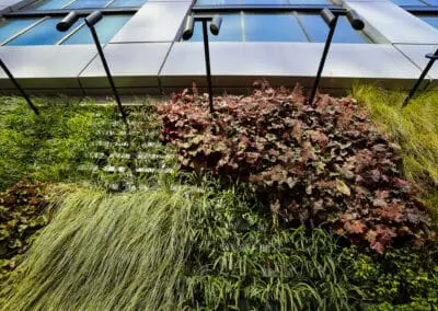 Hotel Commercial Landscaping