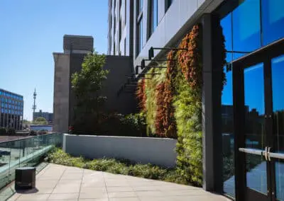Hotel Commercial Landscaping