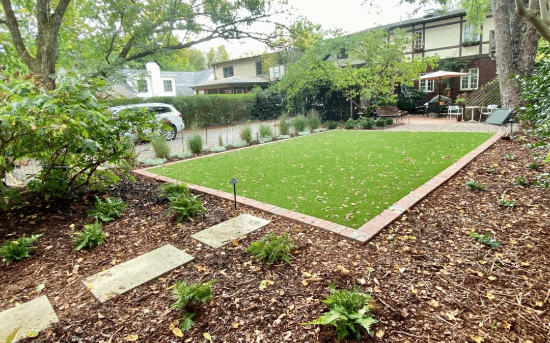Artificial Turf or Live Lawn: The BIG Debate