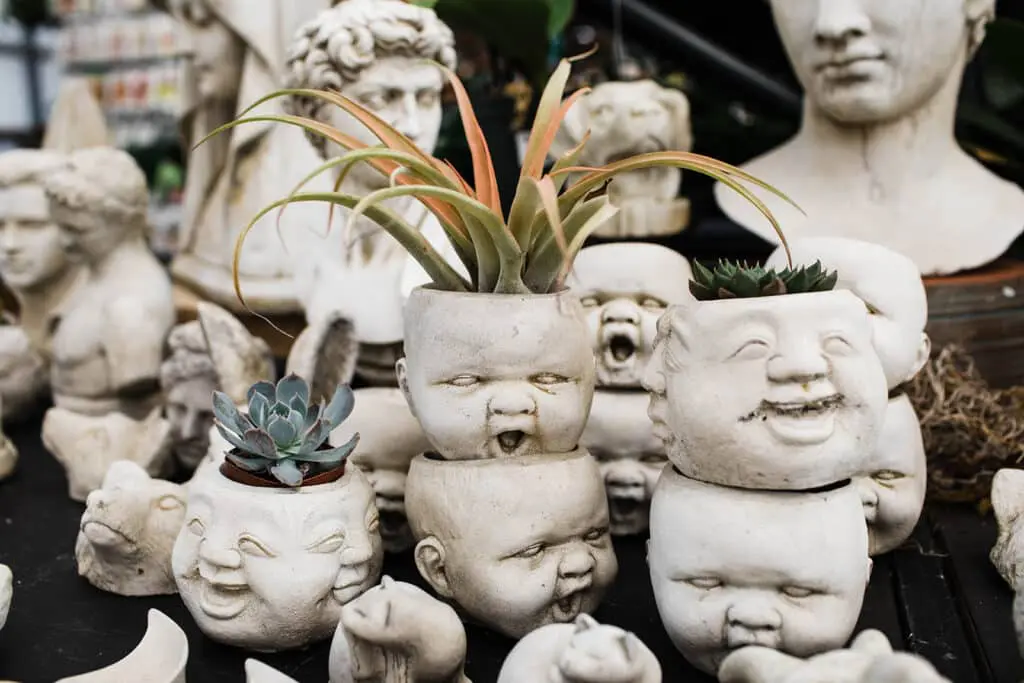 tillandsia-planter-gardens-of-babylon