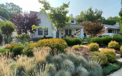 Landscaping for Property Value: A Smart Investment