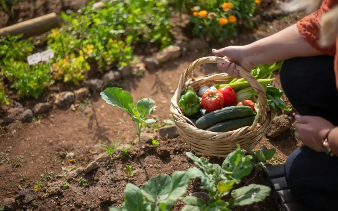 Fall For the Garden’s ‘Second Season’ with a Personal Farmer