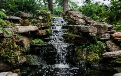 Zen Zone Design: 5 Tips for Peaceful Spaces