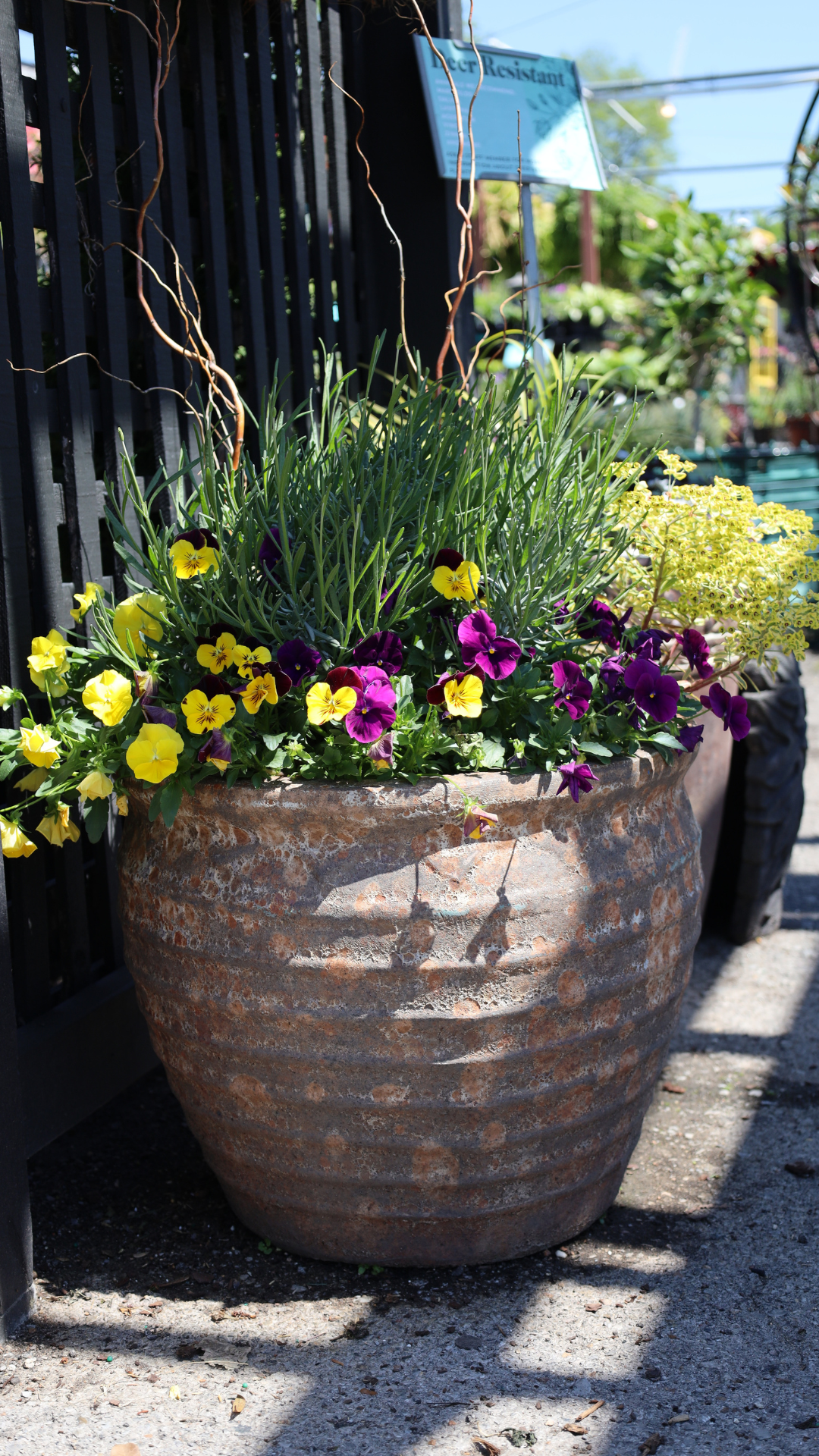2 nashville garden center