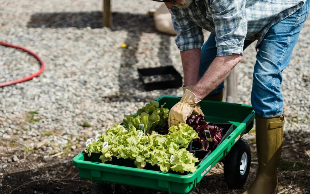 March Landscaping Tips