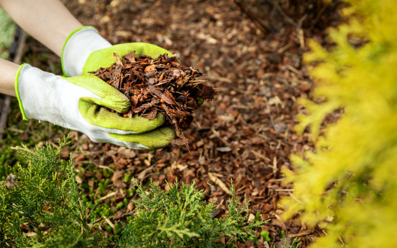 seasonal maintenance and pest management seasonal maintenance and pest management