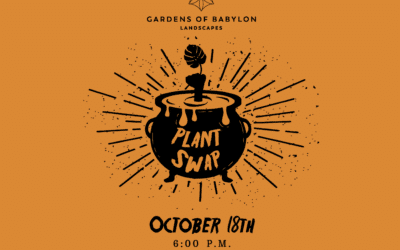 Join us for the October Plant Swap! 10/18/2019