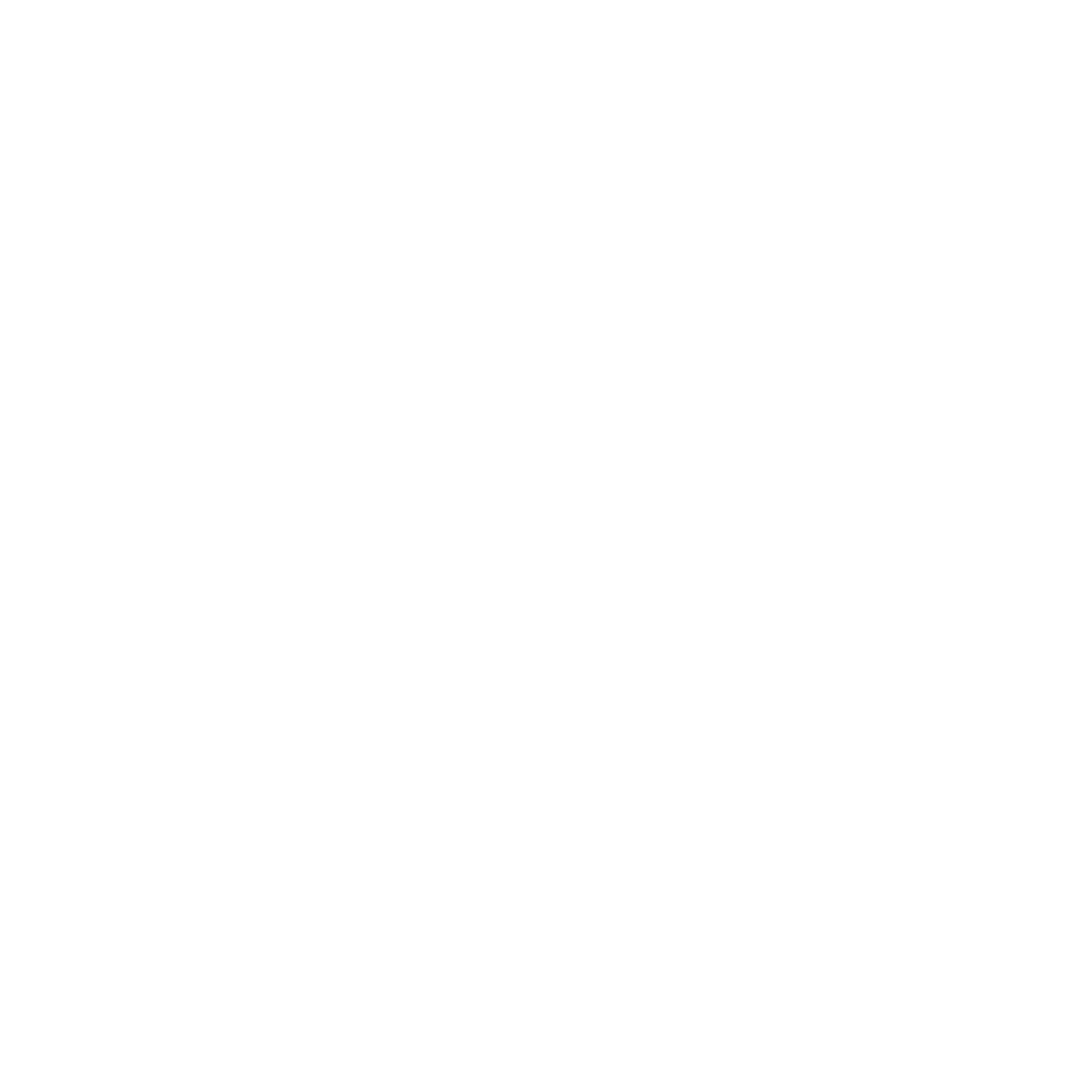 Two Hands Icon