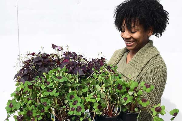 Woman Holding Plants