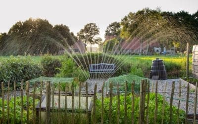 Save Money with a Smart Irrigation System