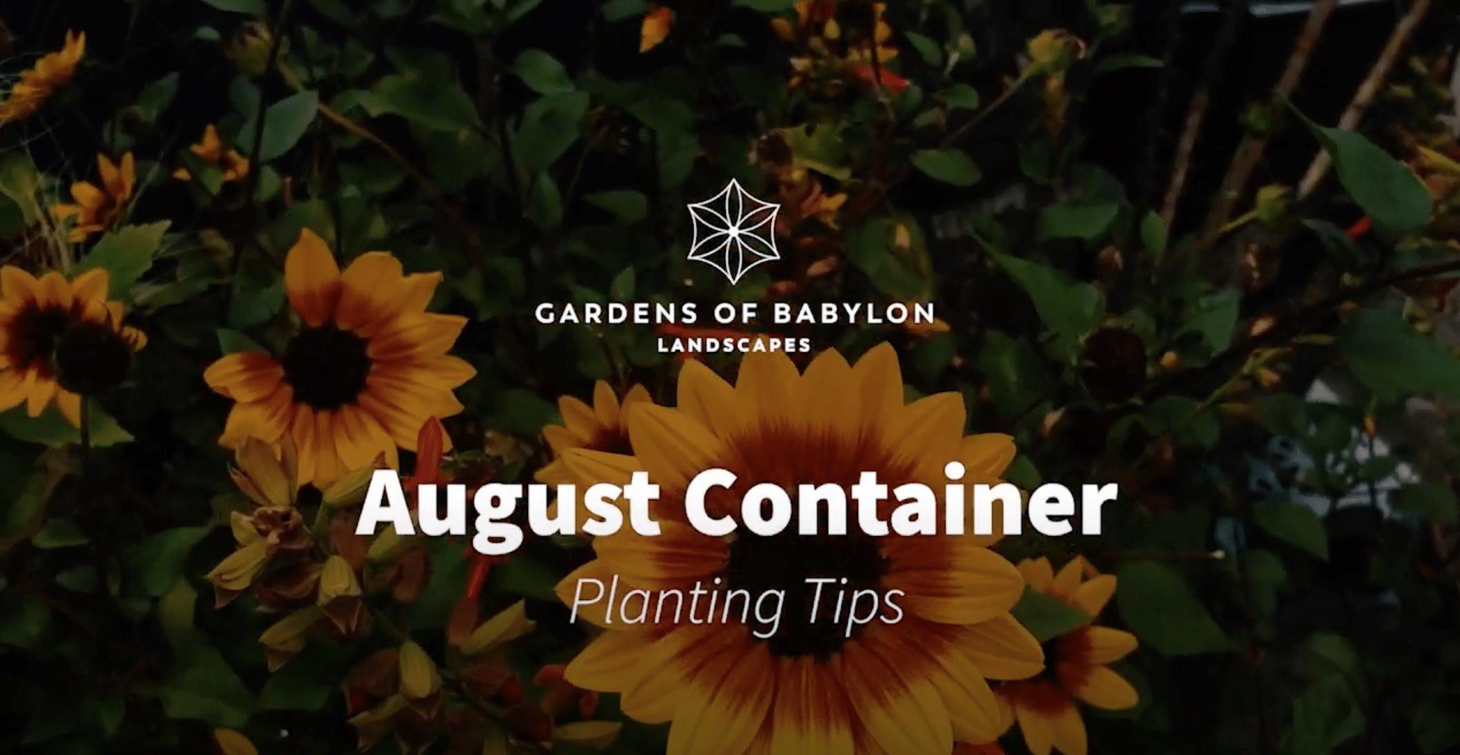 August Container Tips