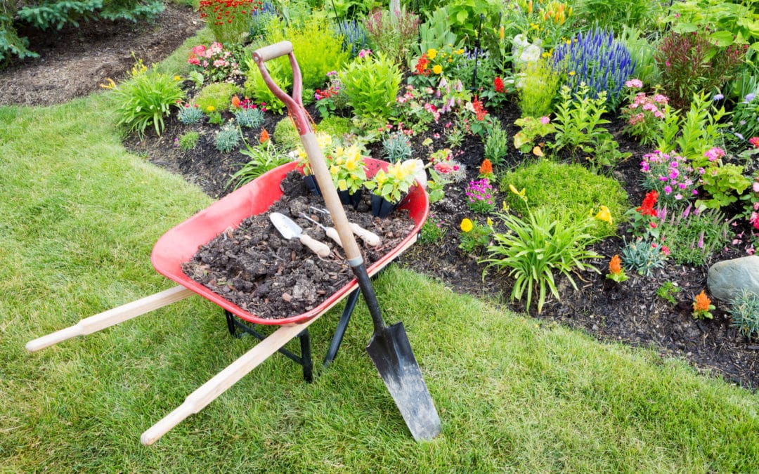 March Landscaping Tips