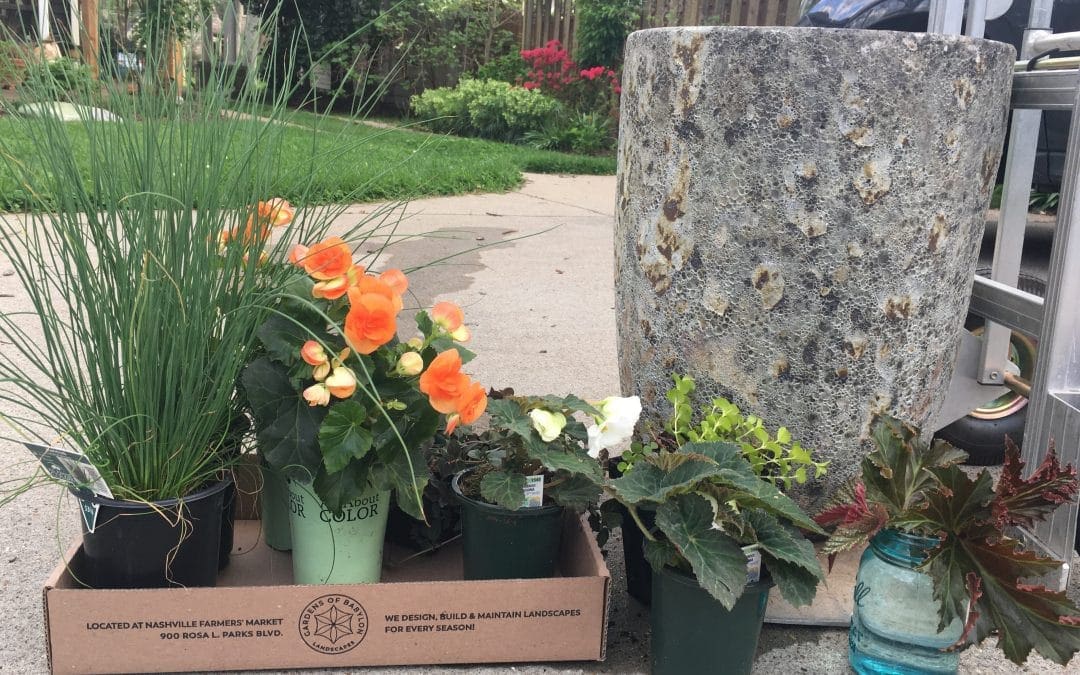 Spring Color for Your Doorstep