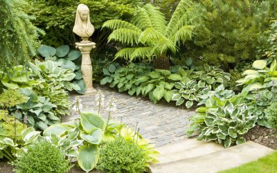 Perennials for Shady Spaces