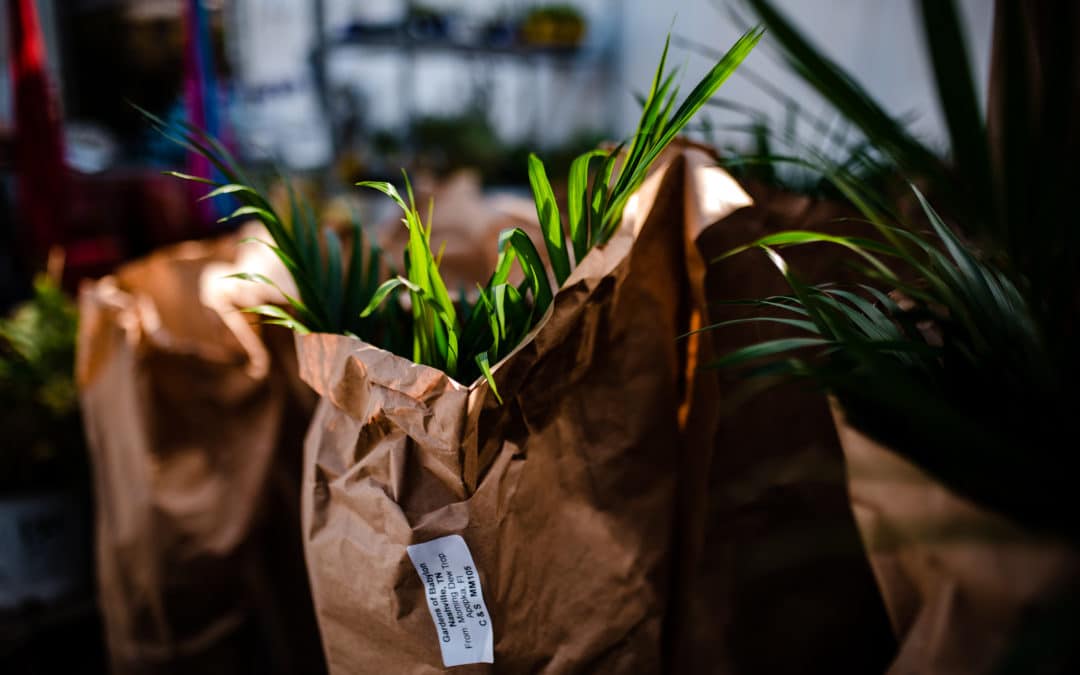 Staff Plant Picks: Here’s What We Like