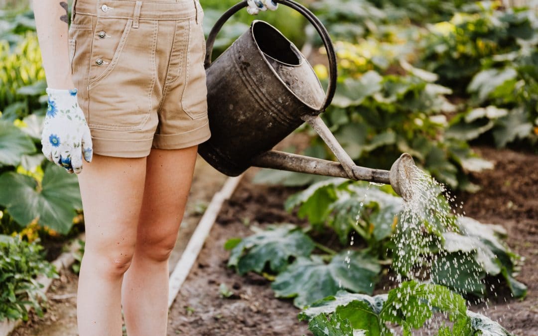 7 Ways to Get Ready for Spring in the Garden