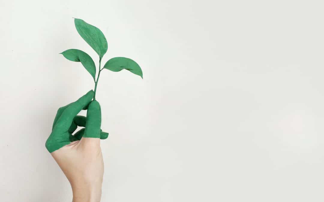 Earth Week & Time to Plant Your Summer Garden