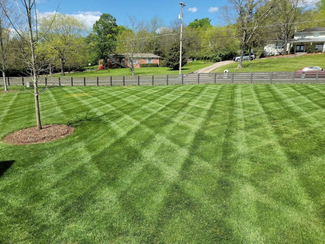 Lawn Care and Mgmt Gardens of Babylon