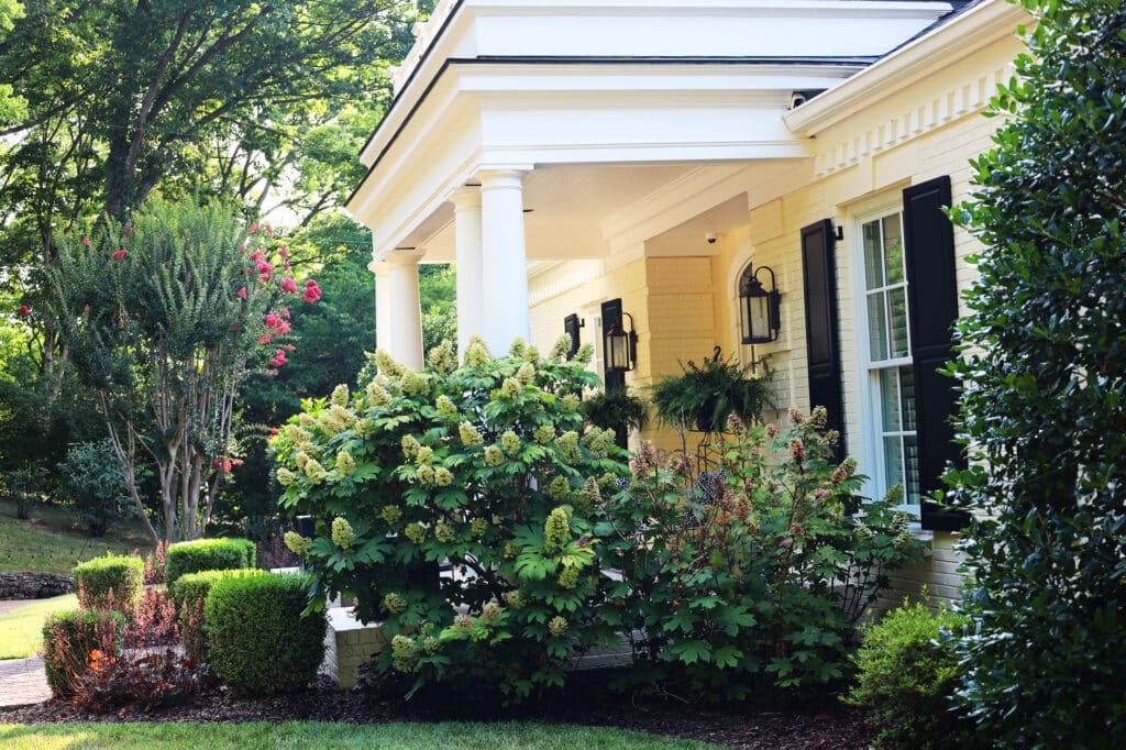 5 Best Plants for Middle Tennessee Landscaping Gardens of Babylon