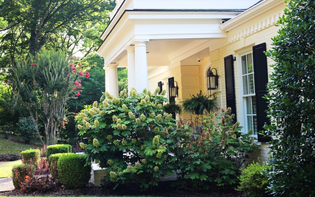 5 Best Plants for Middle Tennessee Landscaping