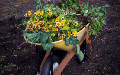 Prep Your Garden Beds for Fall