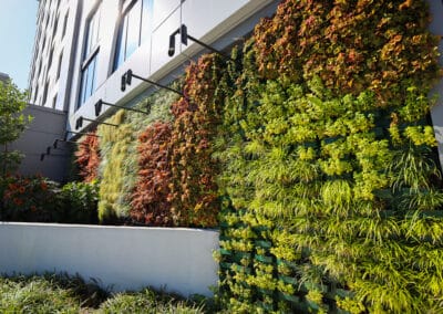 Hotel Commercial Landscaping