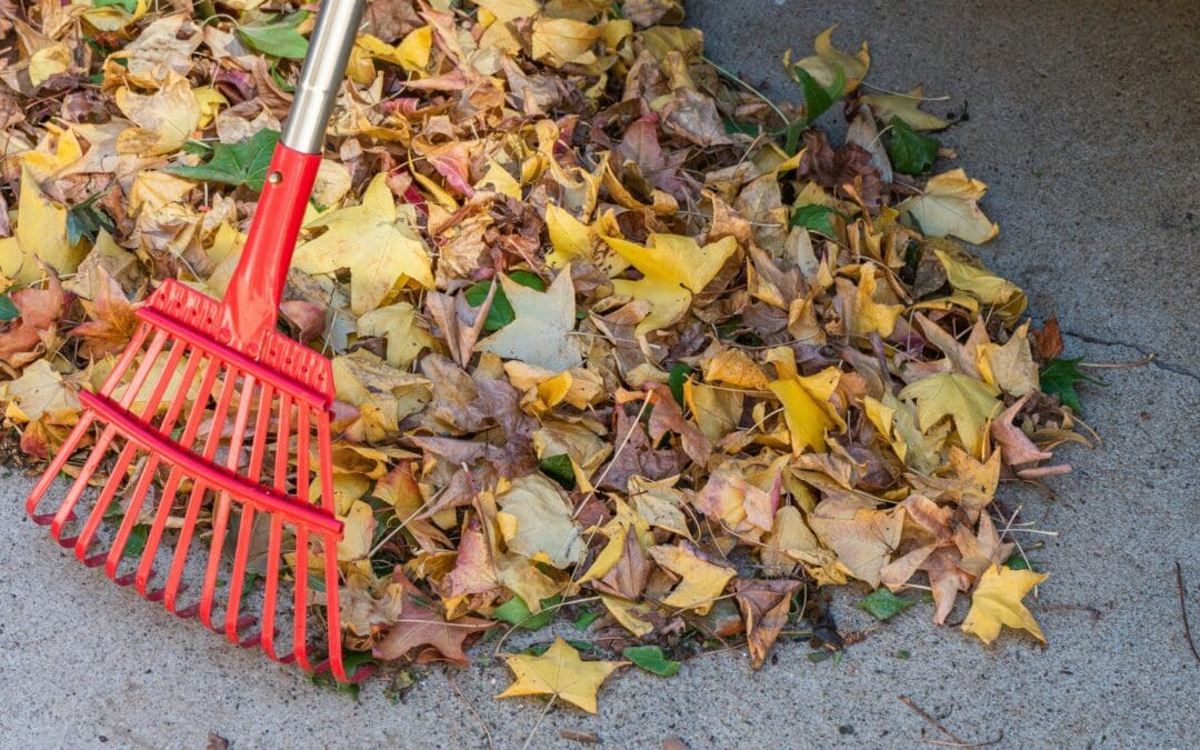 3 Reasons Why Landscape Clean-ups are a MUST!