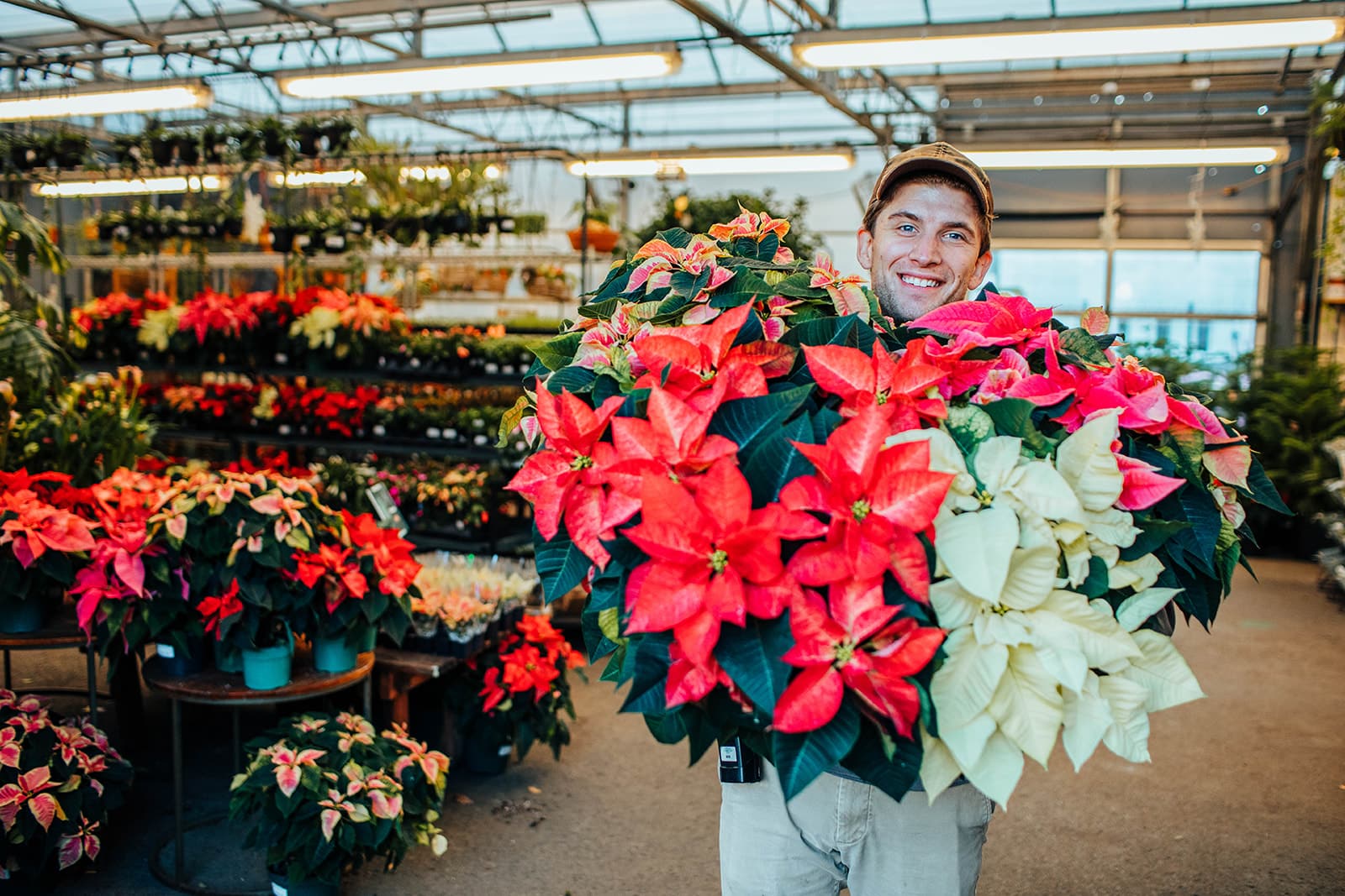 Caring for All Your Holiday Plants Gardens of Babylon
