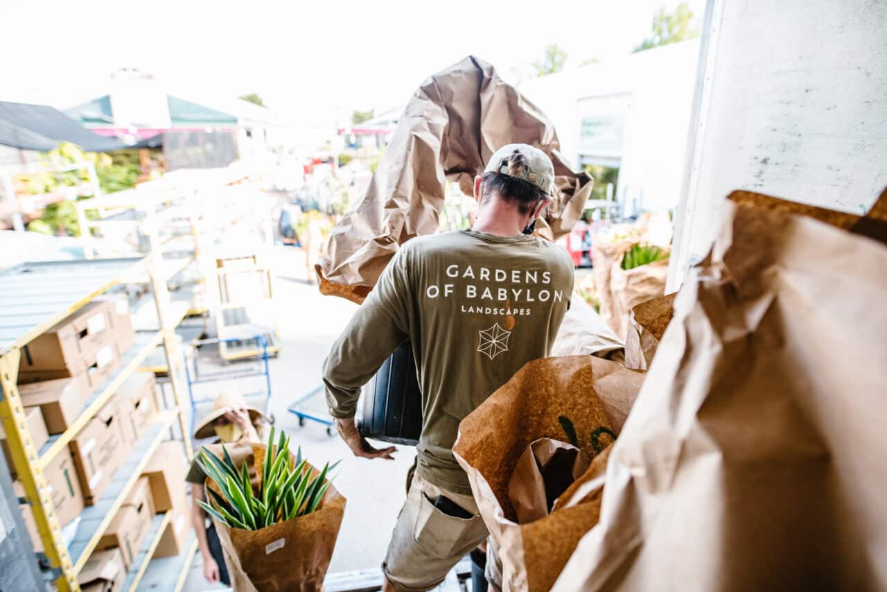 Babylon Careers Join the team Gardens of Babylon