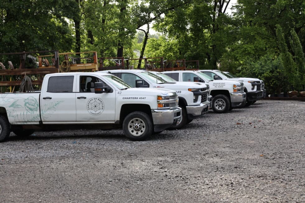 Babylon Careers Join the team Gardens of Babylon