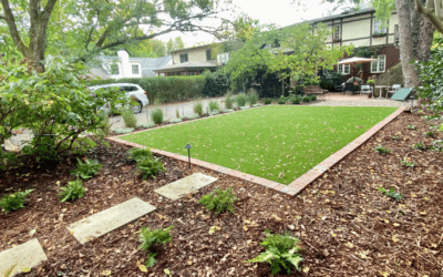 Artificial Turf or Live Lawn: The BIG Debate