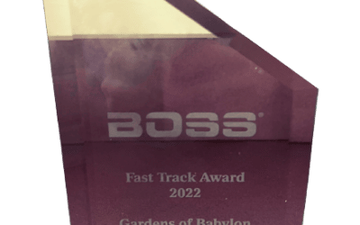2022 Boss Elevation Award