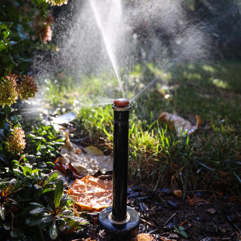 Sprinkler Watering The Plants