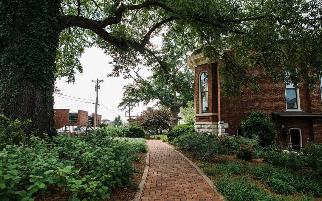 Perennials for Shady Spaces