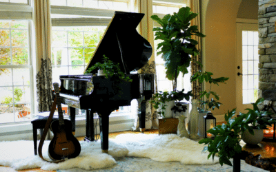 Creative Ideas for Indoor Plantscaping