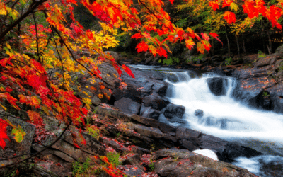 Prime Autumn Viewing Spots in Middle Tennessee