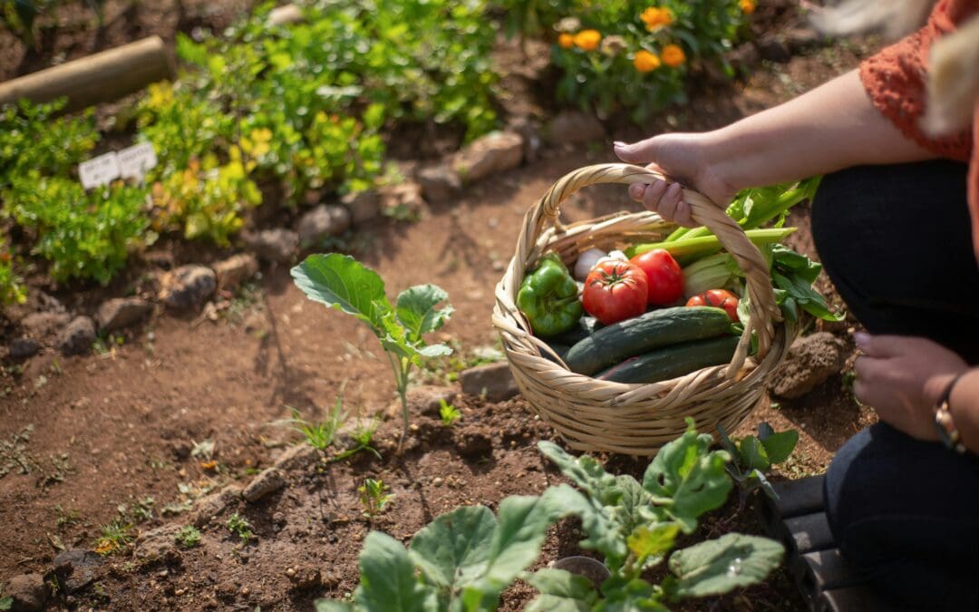 Fall For the Garden’s ‘Second Season’ with a Personal Farmer