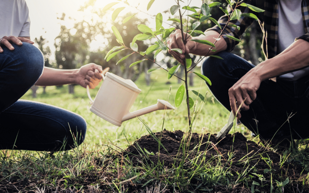 Thriving in Frost: Your Ultimate Guide to Winter Planting