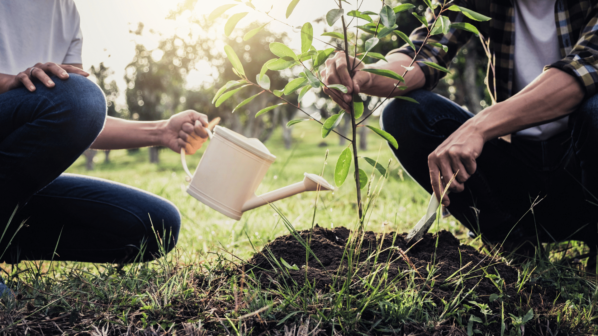 Thriving in Frost: Your Ultimate Guide to Winter Planting | Gardens of Babylon