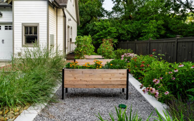 Raised Garden Bed & Personal Farmers: Why all the Hype?