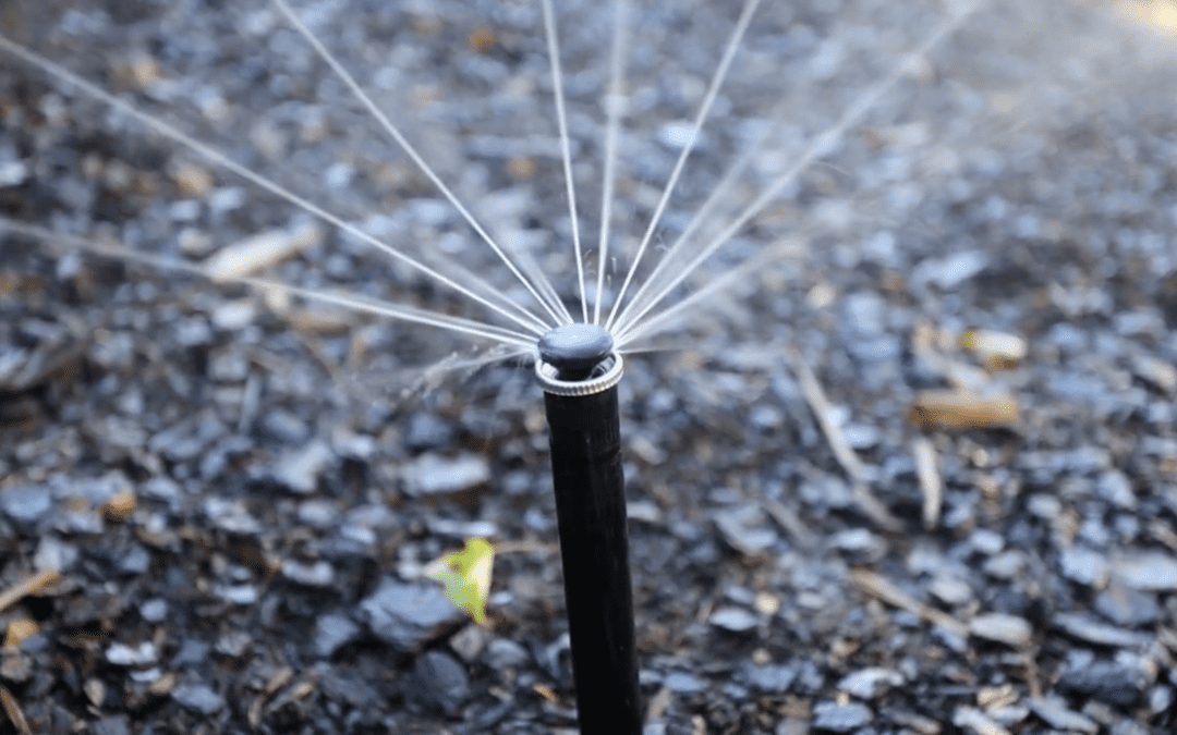 Irrigation: Go for Green this Summer!